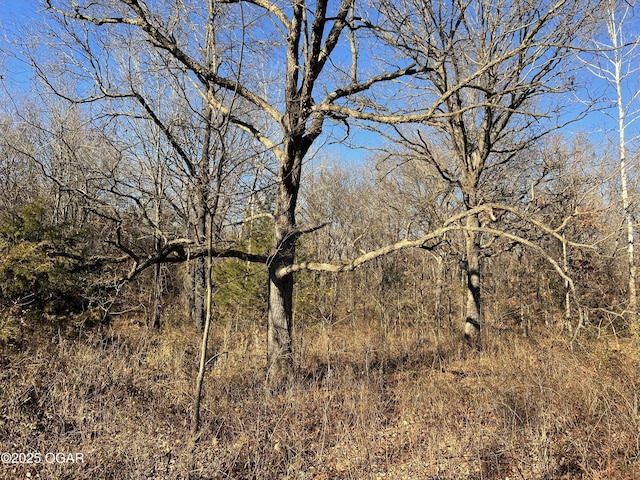 2431 Schermerhorn Rd, Galena, KS 66739 - photo 27
