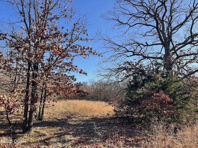 2431 Schermerhorn Rd, Galena, KS 66739 - photo 34