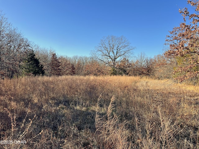 2431 Schermerhorn Rd, Galena, KS 66739 - photo 35