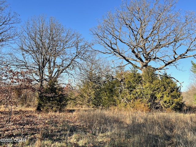 2431 Schermerhorn Rd, Galena, KS 66739 - photo 41