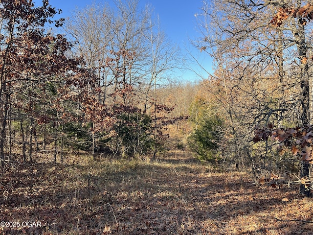 2431 Schermerhorn Rd, Galena, KS 66739 - photo 43