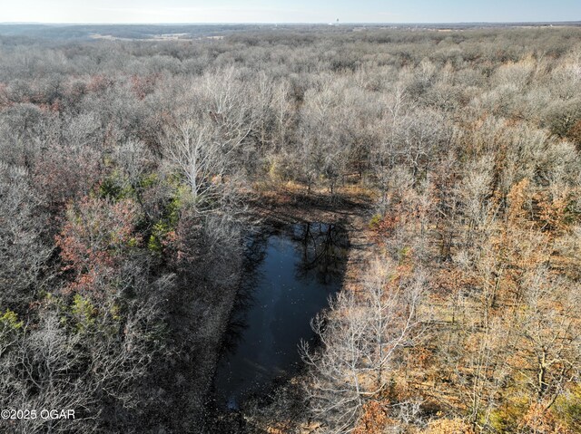 2431 Schermerhorn Rd, Galena, KS 66739 - photo 47