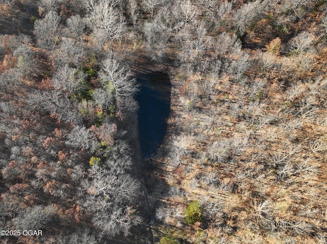 2431 Schermerhorn Rd, Galena, KS 66739 - photo 48
