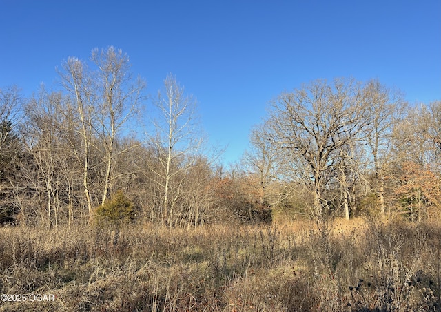 2431 Schermerhorn Rd, Galena, KS 66739 - photo 51