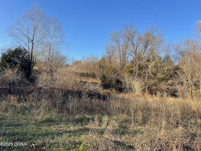 2431 Schermerhorn Rd, Galena, KS 66739 - photo 52