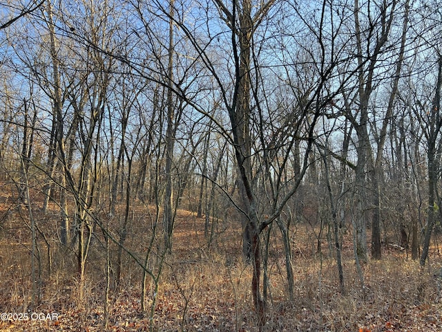2431 Schermerhorn Rd, Galena, KS 66739 - photo 55