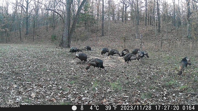 2431 Schermerhorn Rd, Galena, KS 66739 - photo 71
