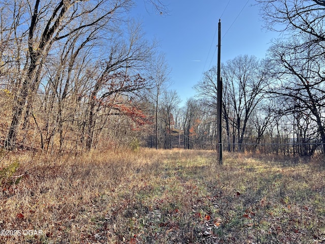 2431 Schermerhorn Rd, Galena, KS 66739 - photo 73
