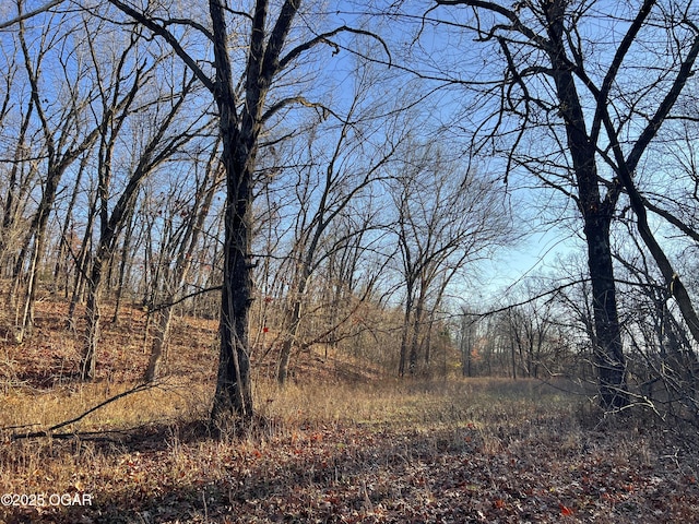 2431 Schermerhorn Rd, Galena, KS 66739 - photo 79