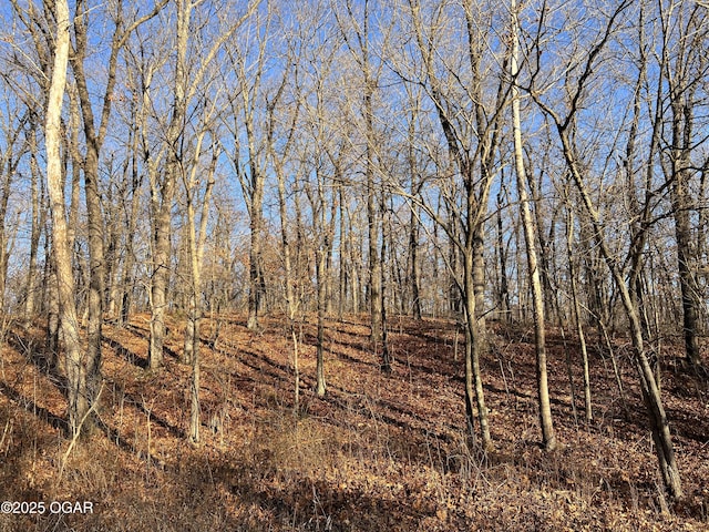 2431 Schermerhorn Rd, Galena, KS 66739 - photo 80