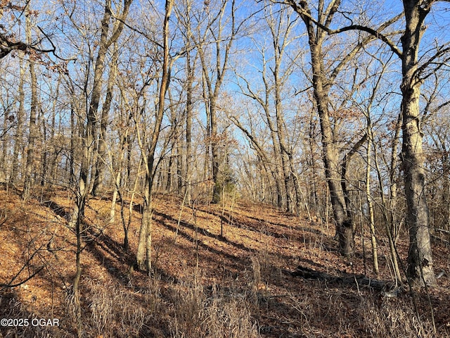 2431 Schermerhorn Rd, Galena, KS 66739 - photo 81