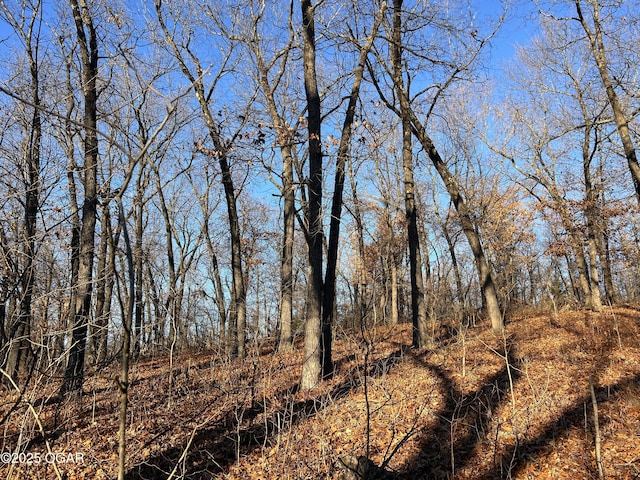 2431 Schermerhorn Rd, Galena, KS 66739 - photo 82