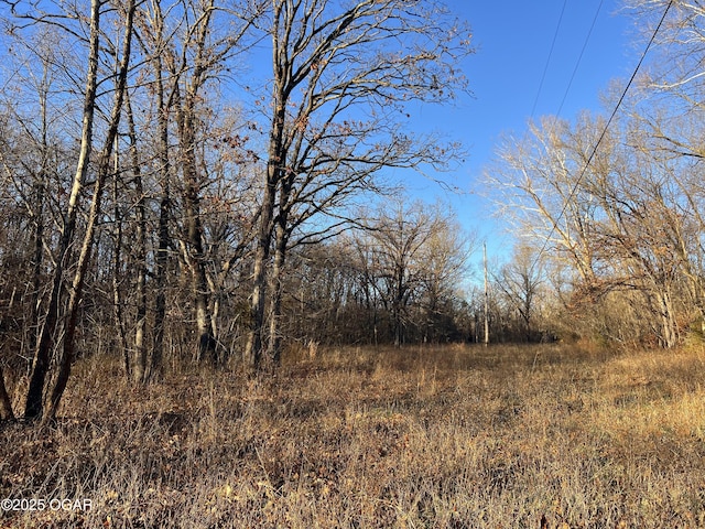2431 Schermerhorn Rd, Galena, KS 66739 - photo 85