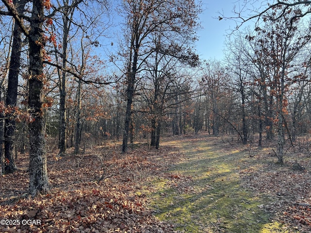 2431 Schermerhorn Rd, Galena, KS 66739 - photo 93
