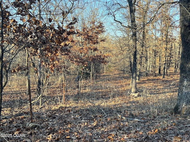 2431 Schermerhorn Rd, Galena, KS 66739 - photo 98
