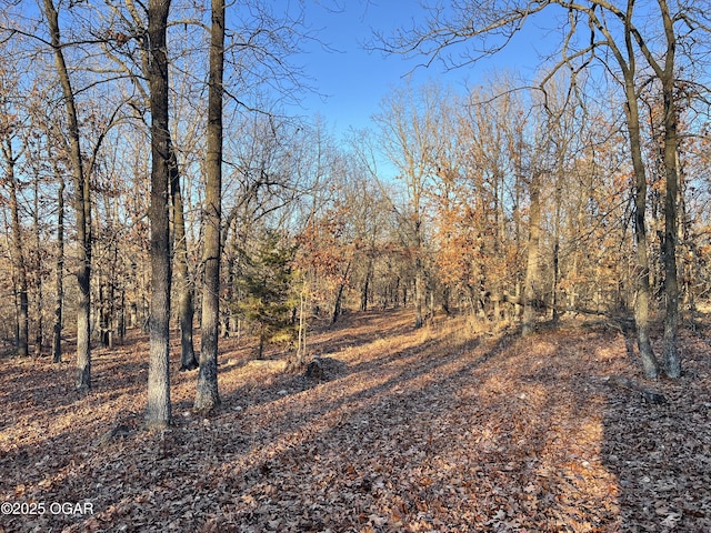2431 Schermerhorn Rd, Galena, KS 66739 - photo 99