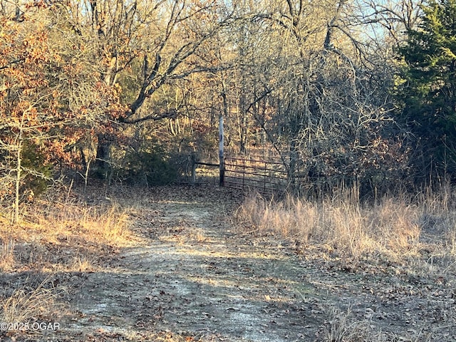 2431 Schermerhorn Rd, Galena, KS 66739 - photo 101