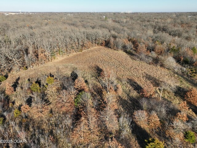 2431 Schermerhorn Rd, Galena, KS 66739 - photo 102
