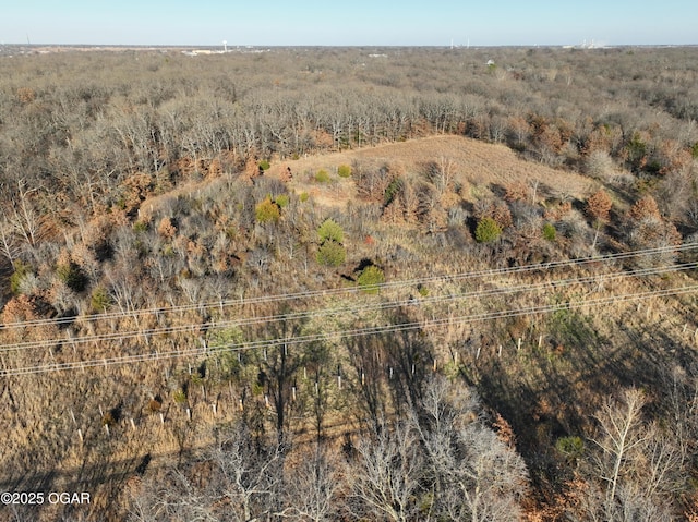 2431 Schermerhorn Rd, Galena, KS 66739 - photo 103