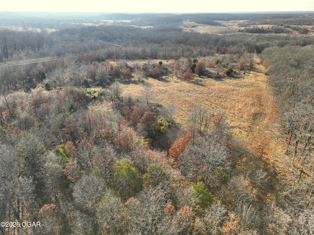 2431 Schermerhorn Rd, Galena, KS 66739 - photo 104