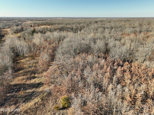 2431 Schermerhorn Rd, Galena, KS 66739 - photo 116