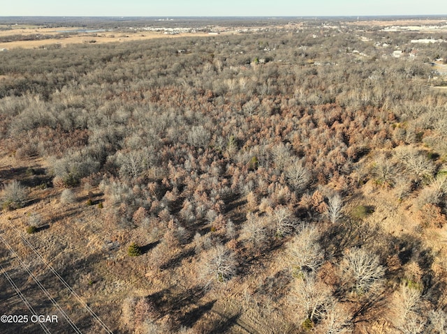 2431 Schermerhorn Rd, Galena, KS 66739 - photo 117