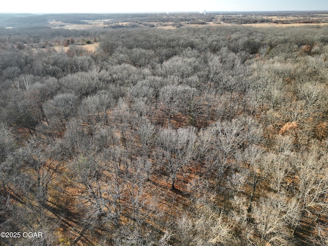 2431 Schermerhorn Rd, Galena, KS 66739 - photo 118