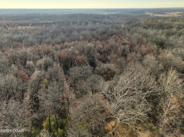 2431 Schermerhorn Rd, Galena, KS 66739 - photo 119