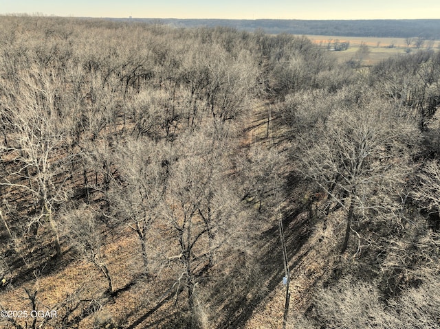2431 Schermerhorn Rd, Galena, KS 66739 - photo 120