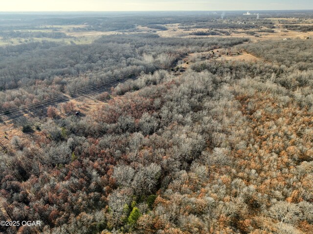2431 Schermerhorn Rd, Galena, KS 66739 - photo 124