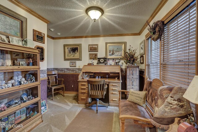 carpeted office space with wood walls, ornamental molding, and a textured ceiling