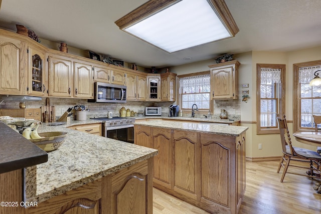 kitchen featuring tasteful backsplash, stainless steel appliances, and light wood-type flooring