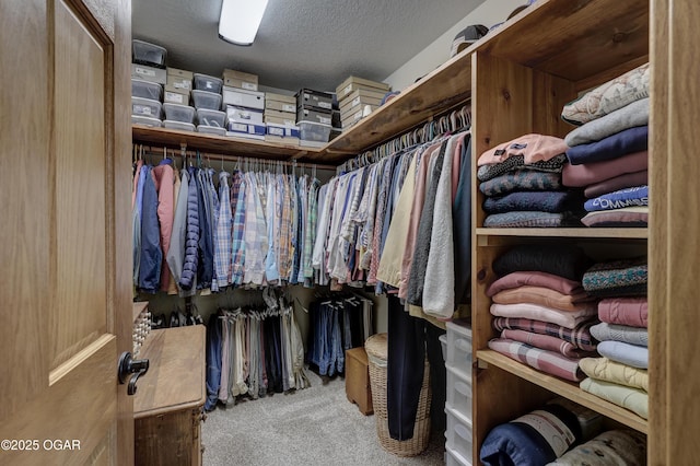 spacious closet featuring light colored carpet