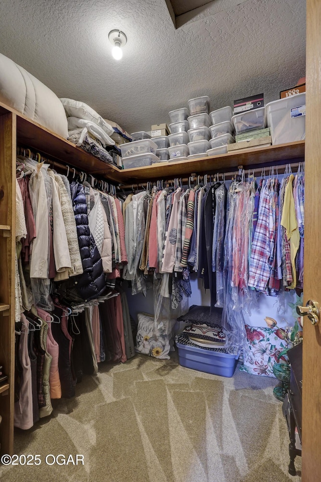 spacious closet with carpet floors