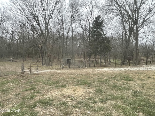 view of yard featuring a rural view