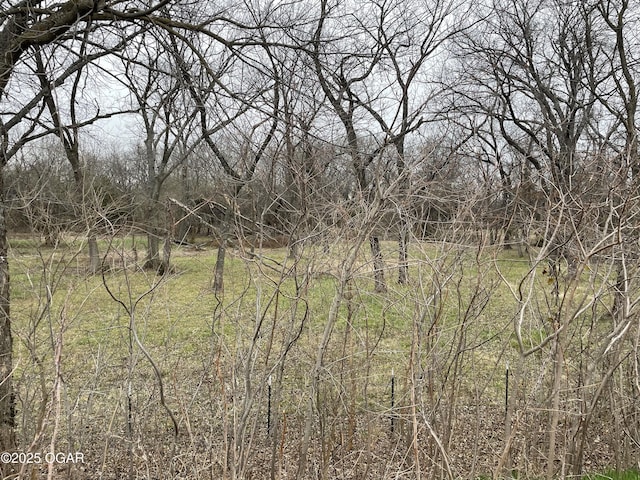 view of local wilderness