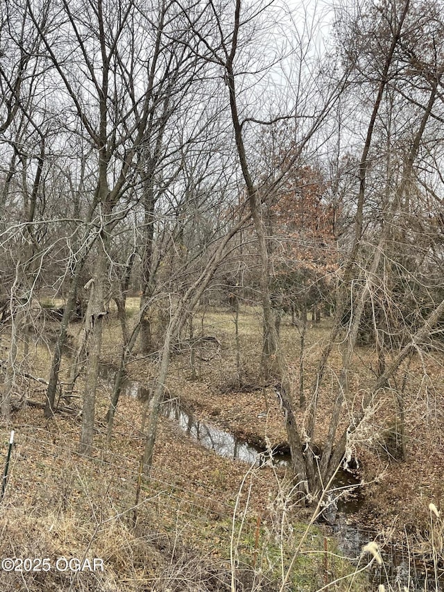 view of local wilderness