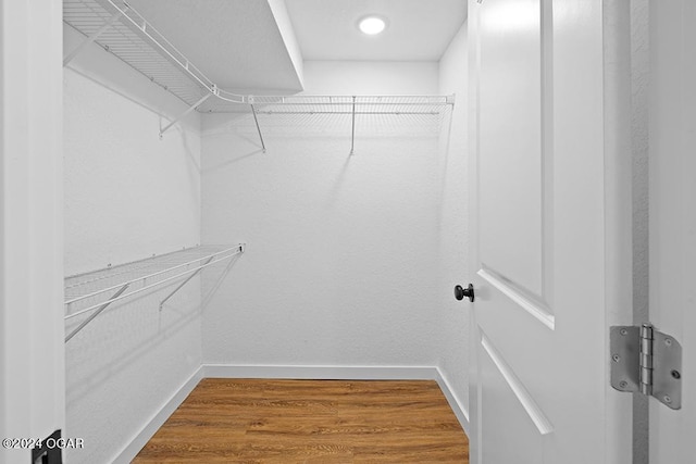 spacious closet with hardwood / wood-style flooring