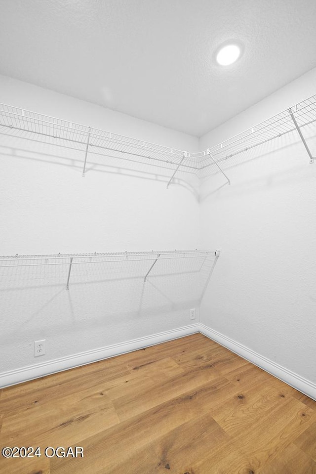 walk in closet with wood-type flooring