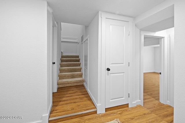 staircase featuring wood-type flooring