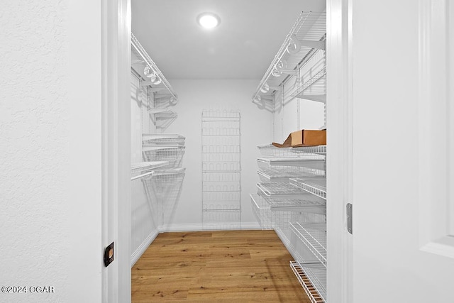 spacious closet with wood-type flooring