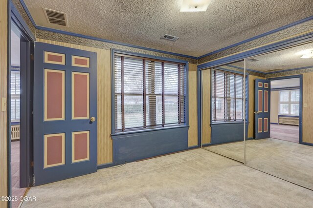 carpeted empty room with crown molding, plenty of natural light, and a textured ceiling