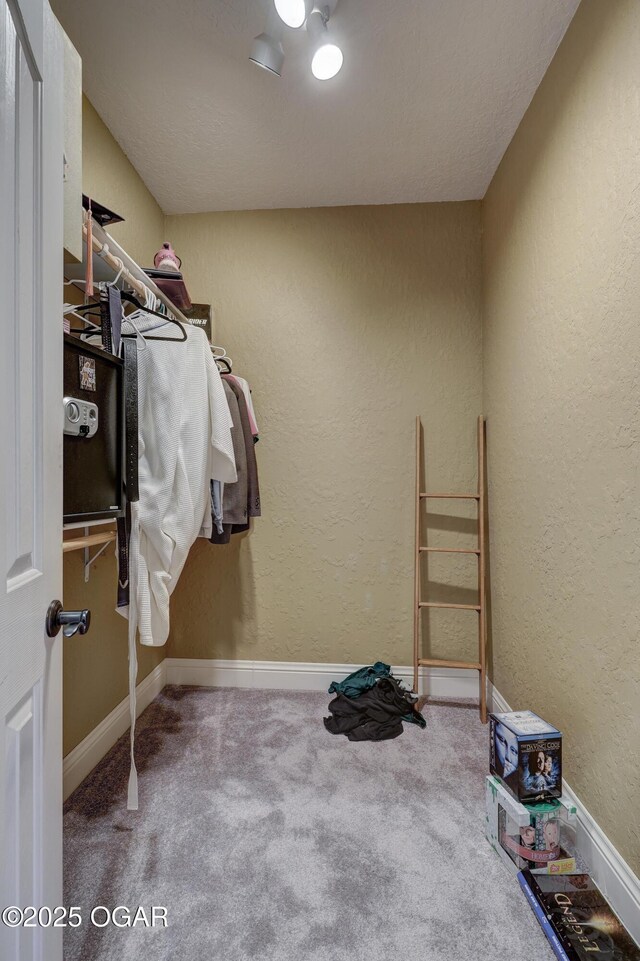 spacious closet featuring carpet flooring