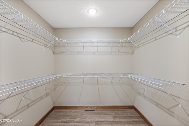 spacious closet featuring light wood-type flooring