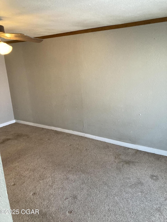 spare room with carpet flooring and a textured ceiling