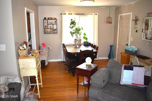 living room with hardwood / wood-style floors