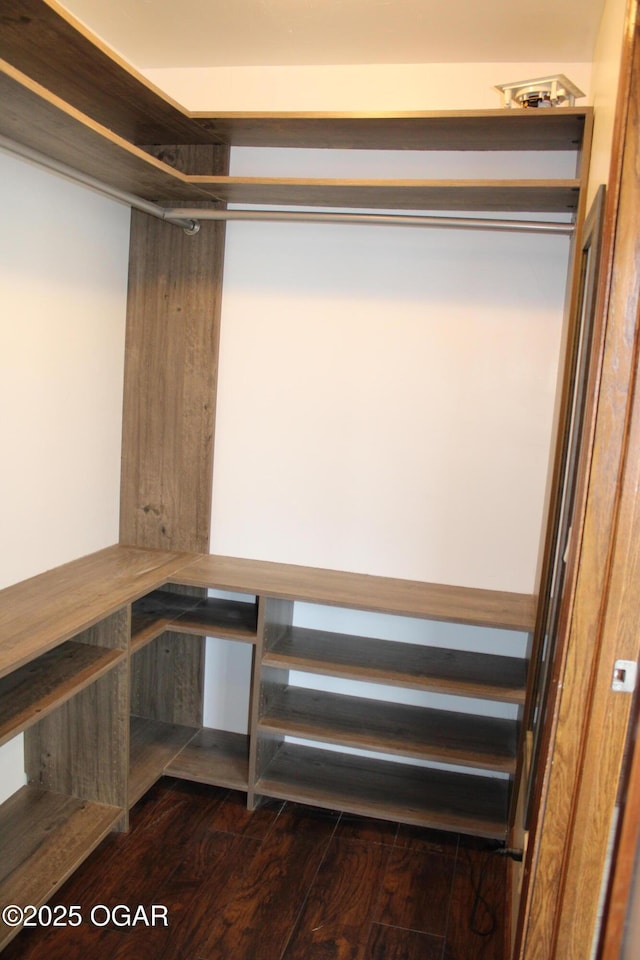 spacious closet with dark wood-type flooring