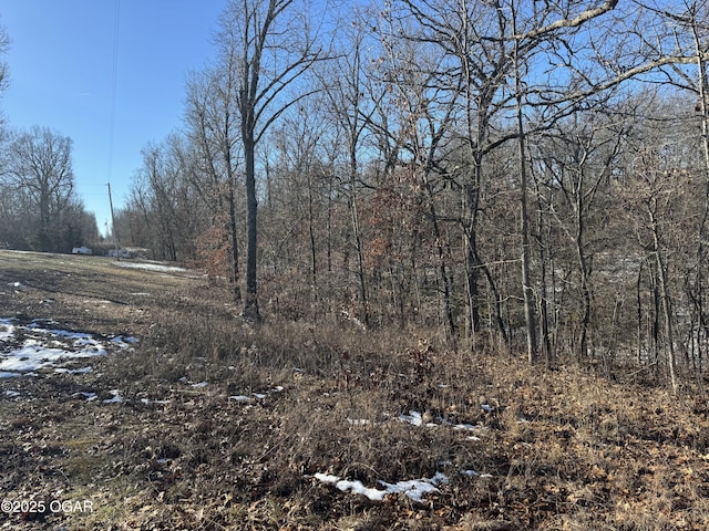 1525 Coopers Rd, Pineville, MO 64856