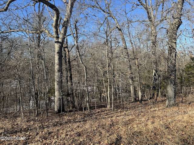1525 Coopers Rd, Pineville, MO 64856