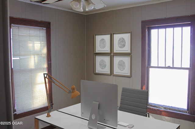 office space with ceiling fan, wooden walls, and crown molding